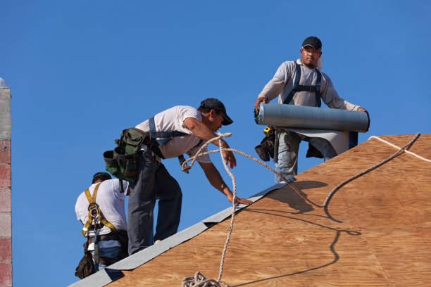Best Roof Replacement Cost  in Williamstown, WV