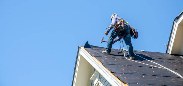 Roof Gutter Cleaning in Williamstown, WV